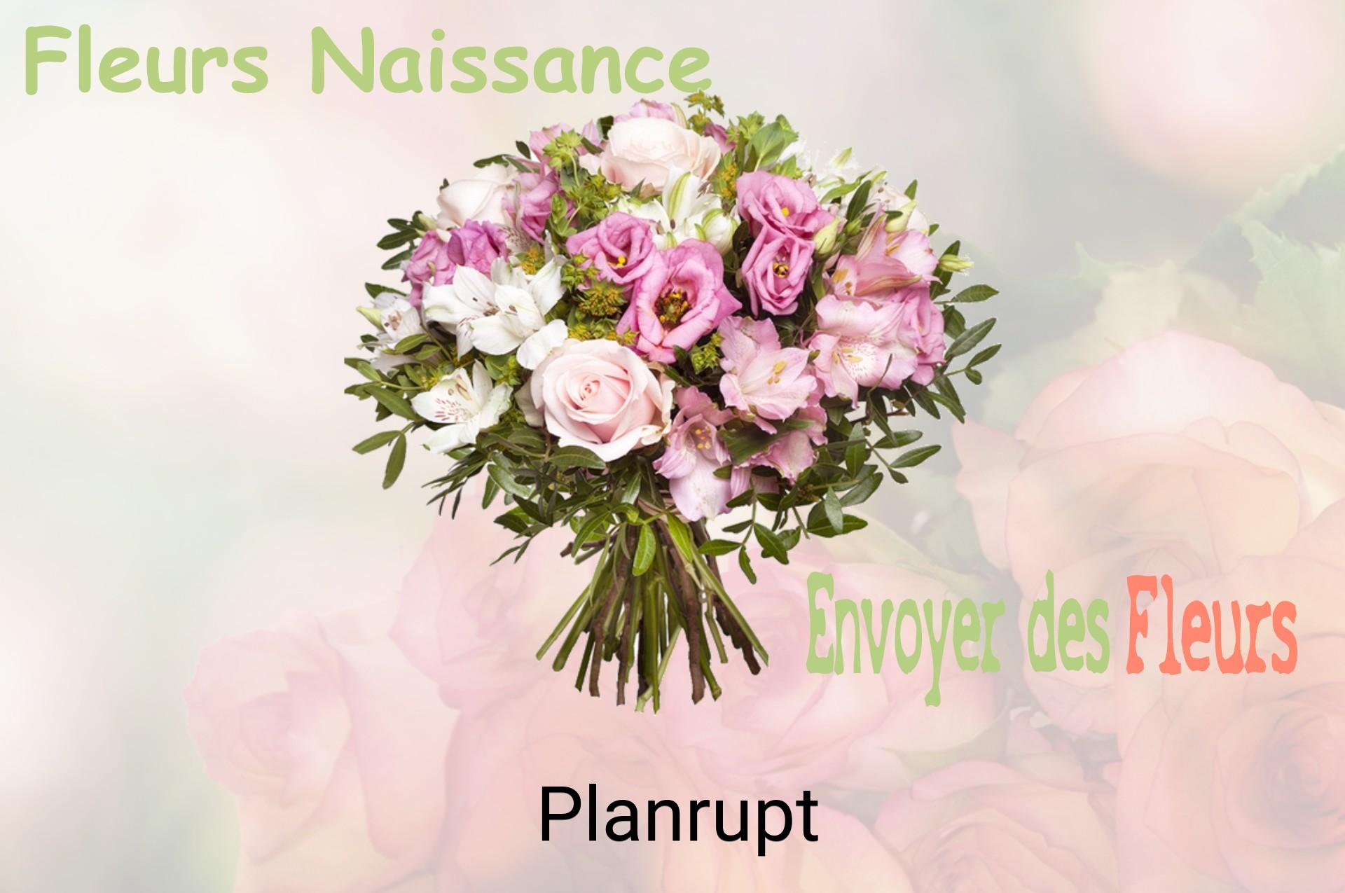 Bouquet de fleurs de naissance livré à Planrupt